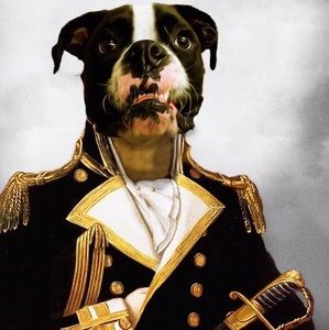 Meet your Posher, Shelly